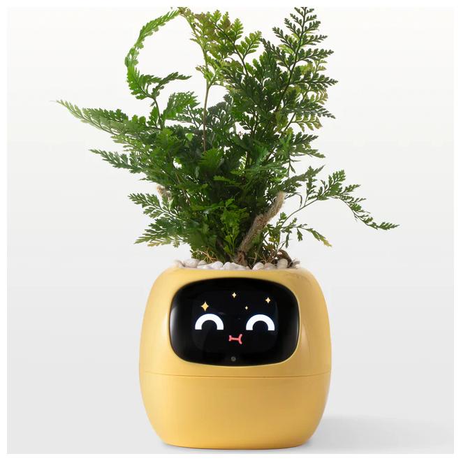 IVY - Smart Plant pot, Endless Fun