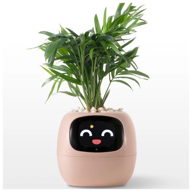 IVY - Smart Plant pot, Endless Fun