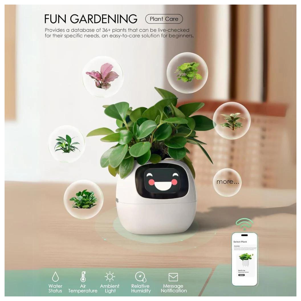 IVY - Smart Plant pot, Endless Fun