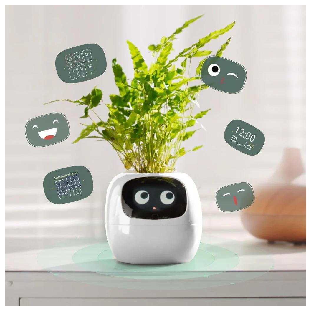 IVY - Smart Plant pot, Endless Fun