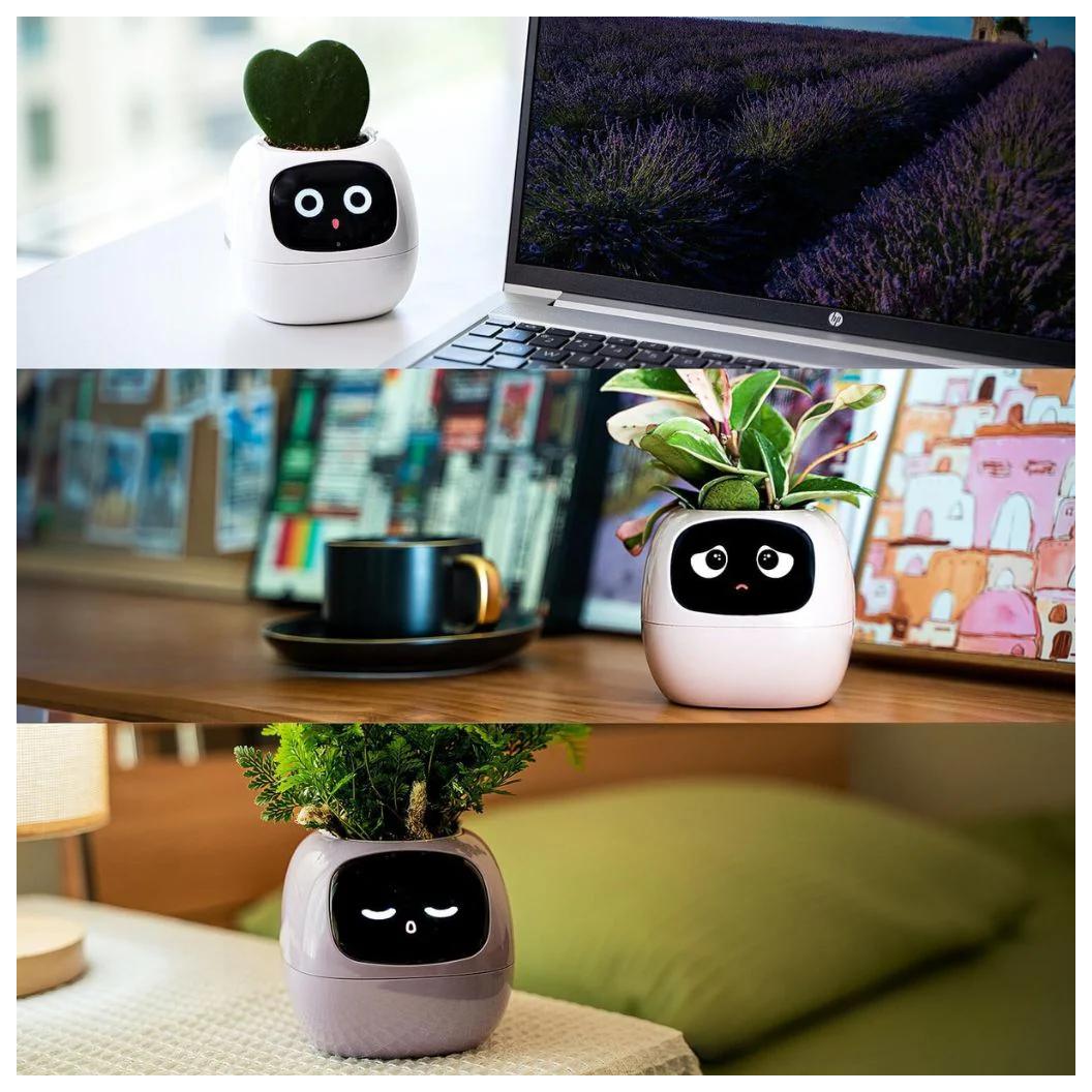 IVY - Smart Plant pot, Endless Fun