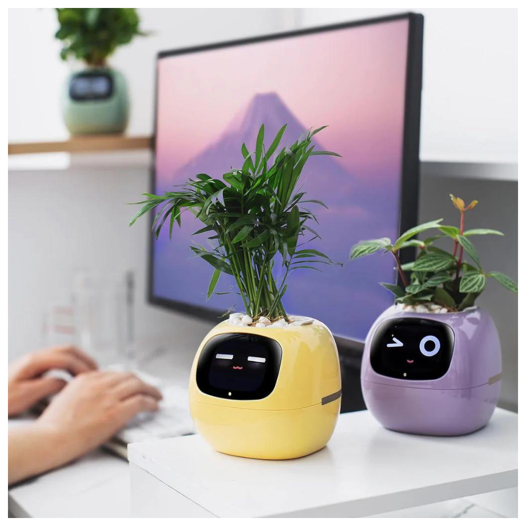 IVY - Smart Plant pot, Endless Fun