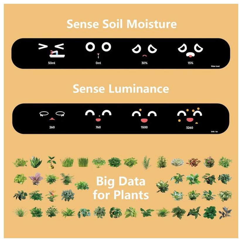 IVY - Smart Plant pot, Endless Fun