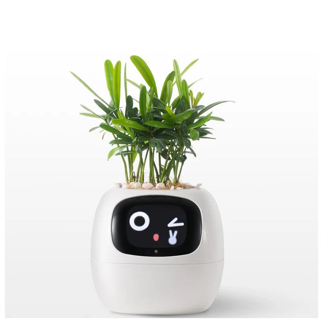 IVY - Smart Plant pot, Endless Fun