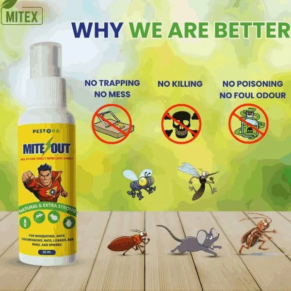 Pestora Mite Out 50ML  | BUY 1 GET 2 FREE | ⭐️⭐️⭐️⭐️ 4.9/5 Reviews