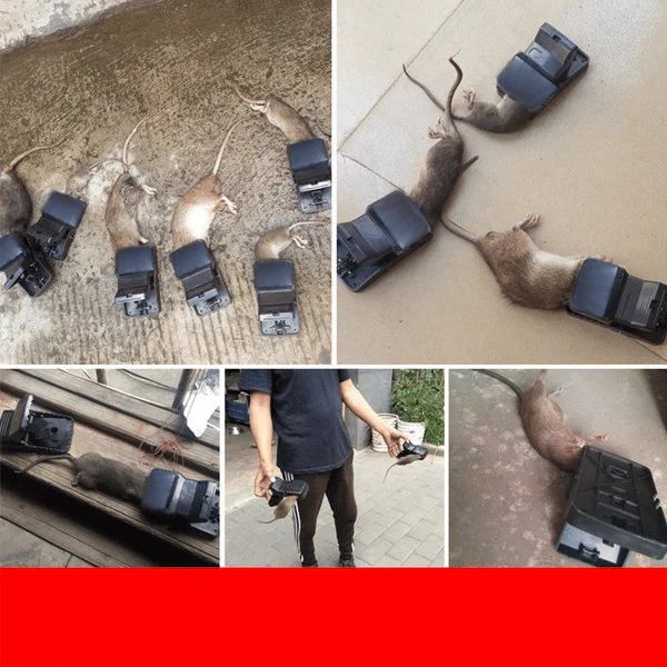 High Sensitivity Powerful Mouse Trap -BUY 1 GET 1 FREE ⭐️⭐️⭐️⭐️ 4.9/5 Reviews