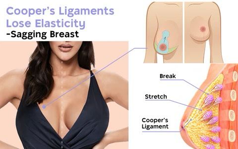 Fivfivgo™ EMS Bust Massager Bra. ( Free Size Auto Adjustment for All Sizes ) Pack of 1