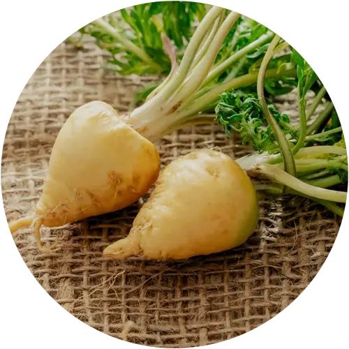 Arab Kings – Power of Arabian Kings, Now in India “Supports Daily Energy And Natural Wellness" Powder