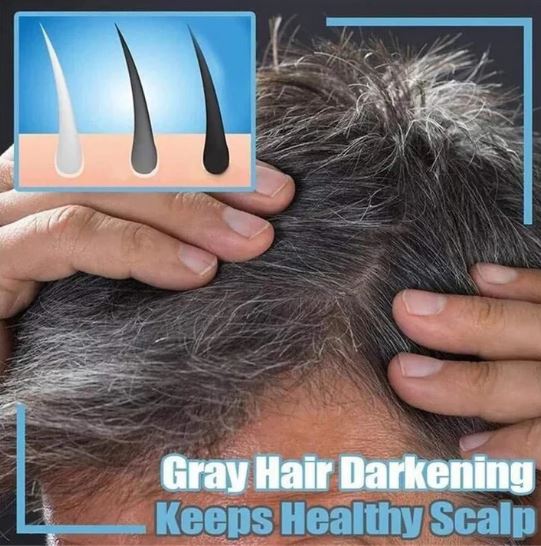 Organic Grey Reverse Shampoo Bar 🍃 | Buy 1 Get 1 Free [⭐⭐⭐⭐⭐4.9/5]